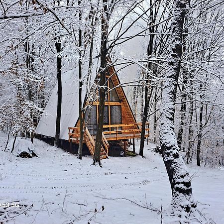 Cabanaaframe Curtea De Arges Bagian luar foto