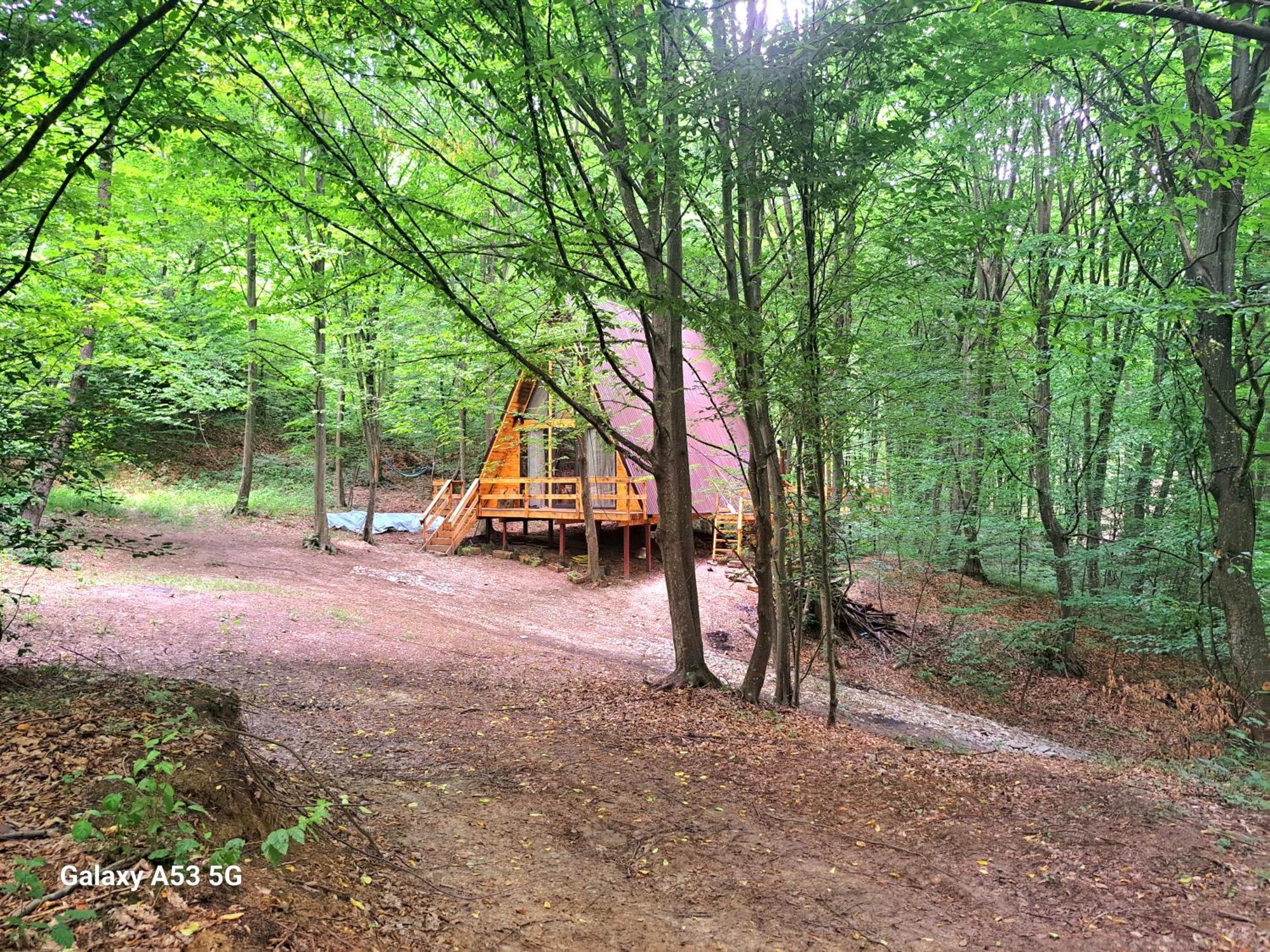 Cabanaaframe Curtea De Arges Bagian luar foto